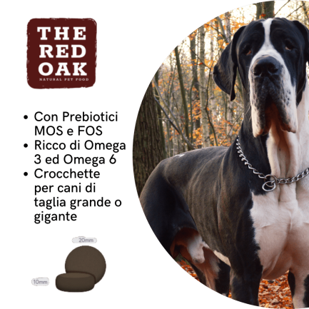 The Red Oak Trout and Salmon Grain Free for Large Dogs
