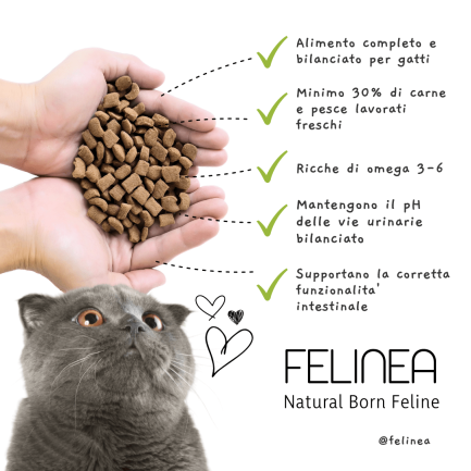 Felinea Sterilized Pollo Tonno e Salmone Grain Free per Gatti