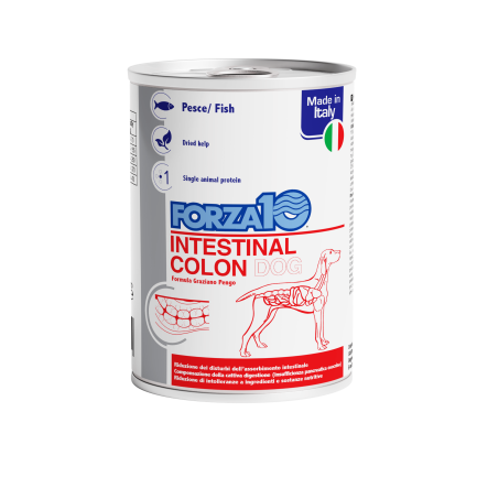 Forza10 Intestinal Colon Wet Food for Dogs