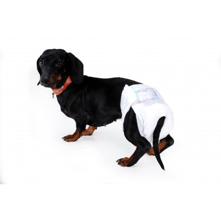 Disposable Underwear Diapers for Dogs
