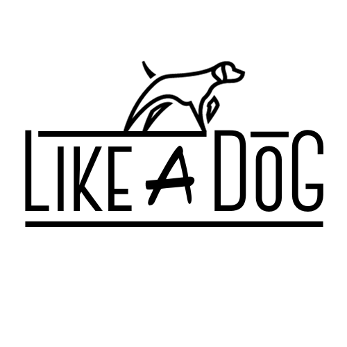 Like A Dog