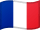 Paco Pet Shop - Flag Français